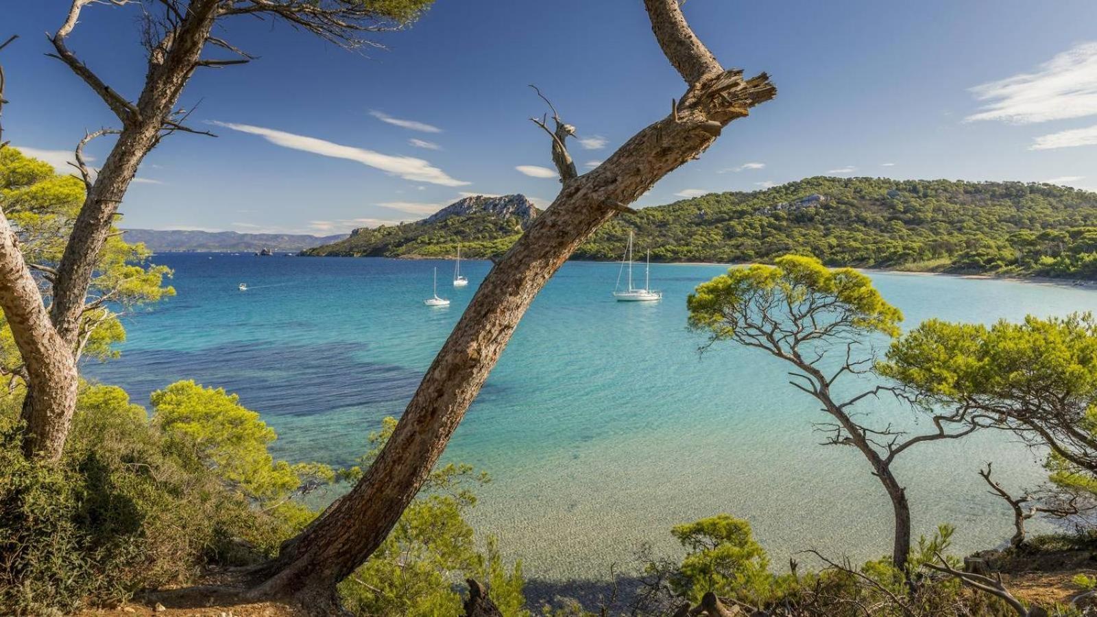 Calme Et Confort En Rez-De-Jardin La Londe-les-Maures Zewnętrze zdjęcie